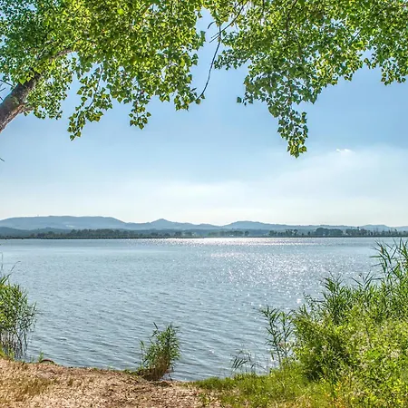 Cozy In With Sauna Vakantiehuis